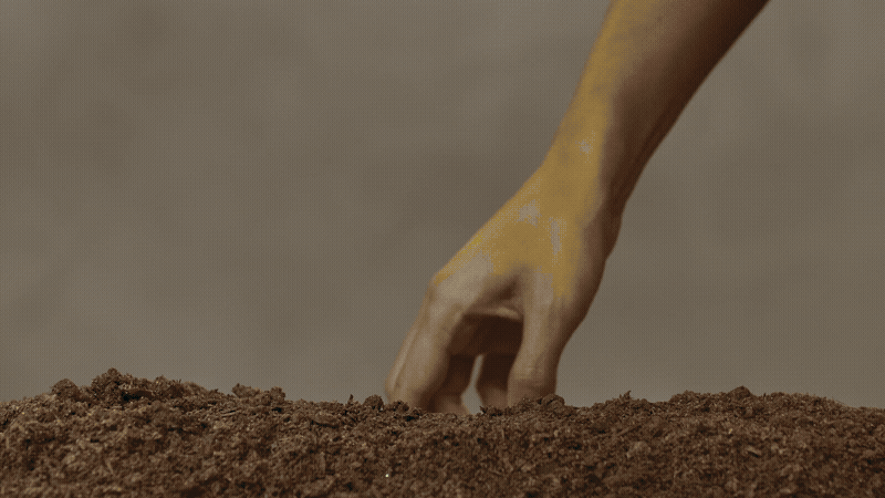 Sucos Naturebas — Ragazzo